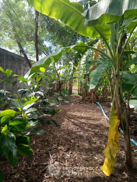 5,600 m² Land for Rent and Sale in O Ngoen (ID 1337201)