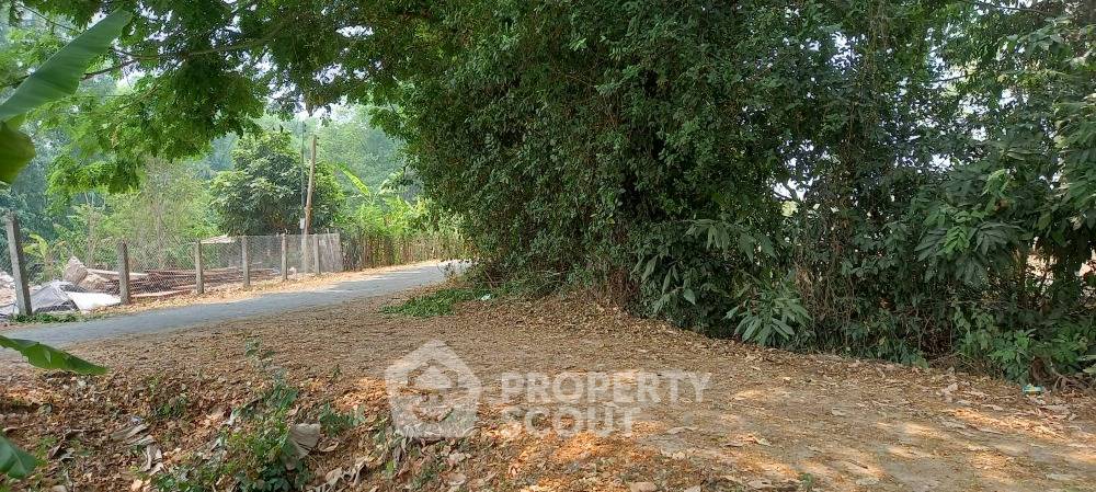 picture 8,000 m² Land for Sale in Thung Satok (ID 1109233) - 6/6