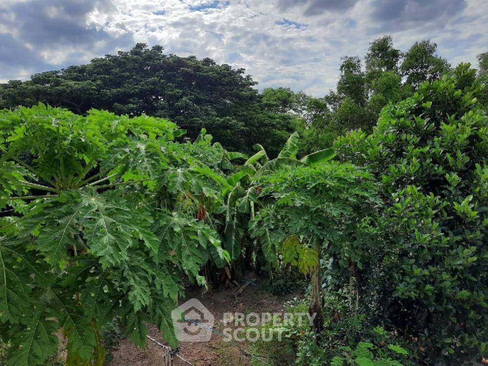 รูป ที่ดินสำหรับปล่อยเช่าและปล่อยขาย 5,600 ตารางเมตร แถว ใน ออเงิน (ID 1337201) - รูปที่ 10/32