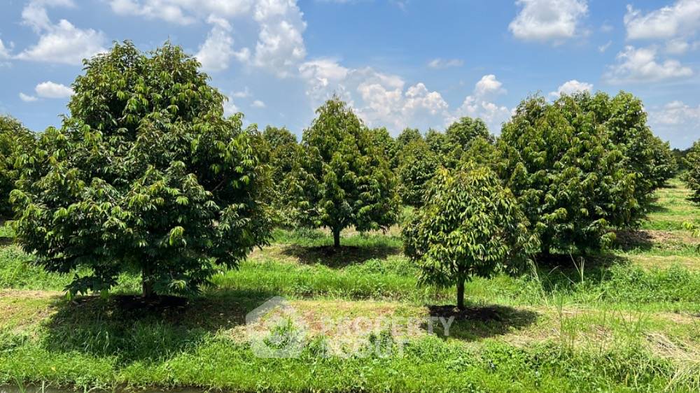 picture 322,876 m² Land for Sale in Nam Phrae (ID 1110720) - 7/28