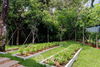 listing thumbnail image 29
