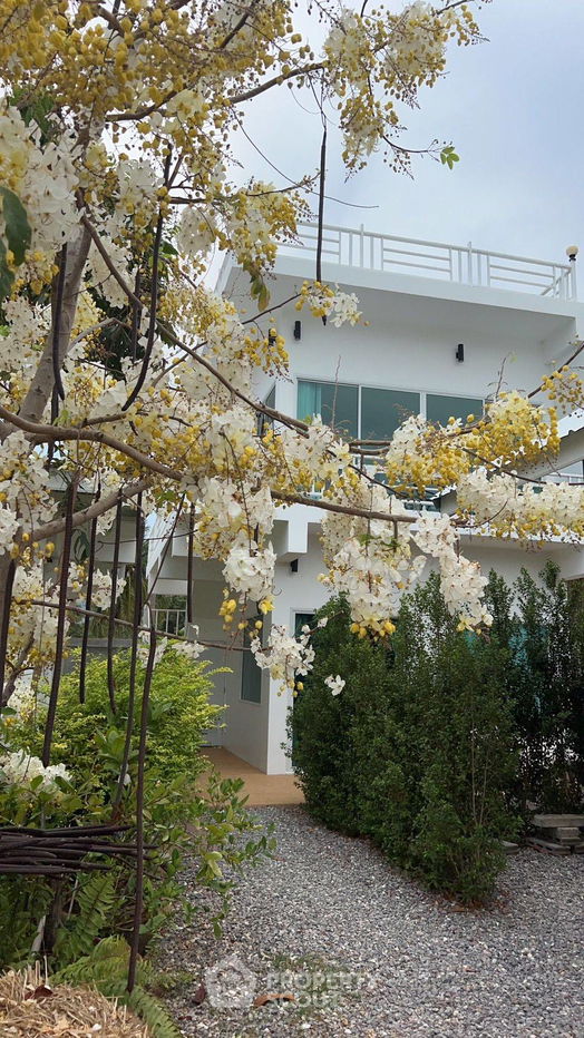 picture 4-BR House in Sam Roi Yot (ID 1176492) - 13/16