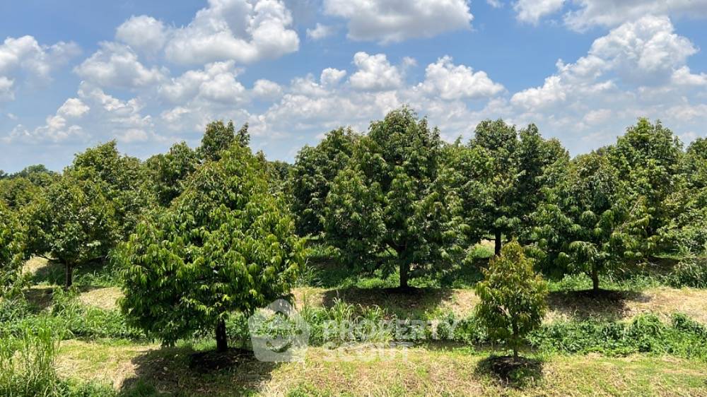 picture 322,876 m² Land for Sale in Nam Phrae (ID 1110720) - 8/28