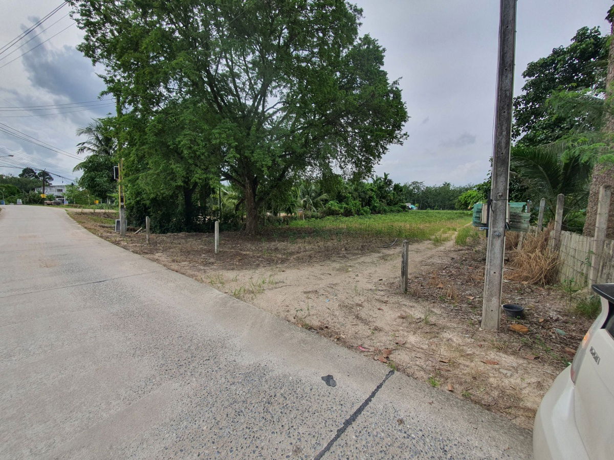 picture LAND FOR RENT GOOD FOR INVESTMENT - 5/9