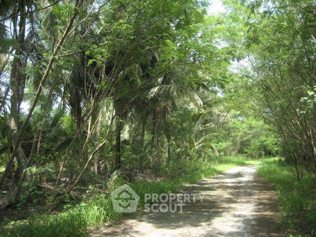 รูป ที่ดินสำหรับปล่อยขาย 5,864.8 ตารางเมตร แถว ใกล้ เมืองพัทยา (ID 1536184) - รูปที่ 6/9