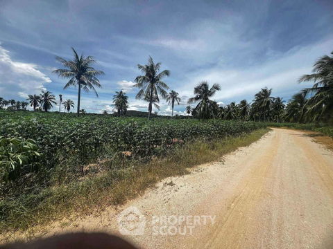 12,268 m² Land for Sale close to Huai Yai (ID 2178269)