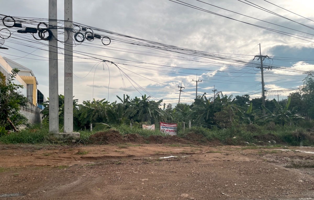 รูป ที่ดินติดถนนโรจนะ ใกล้ทางด่วนวังน้อย 098 7755 808 - รูปที่ 4/9