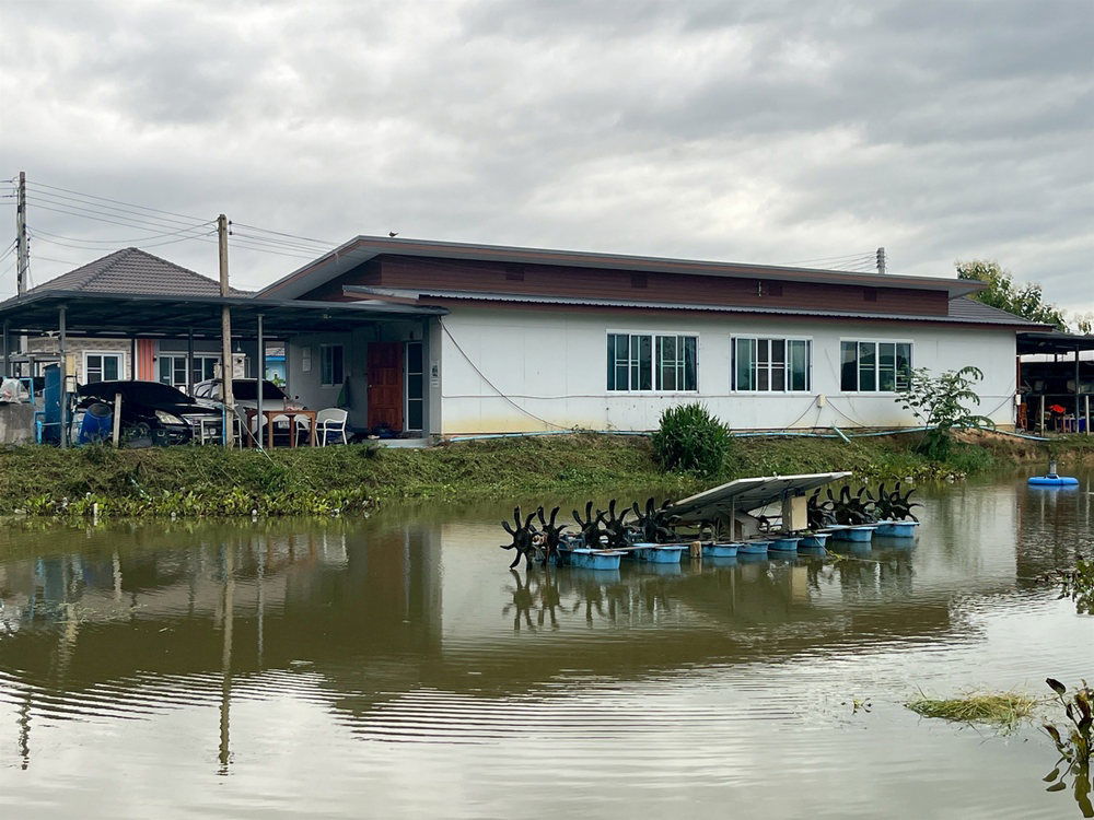 picture Call : 085-614-9224 Land For Sale Nong Nam, Mueang Lamphun District, Lamphun 51000 - 2/13