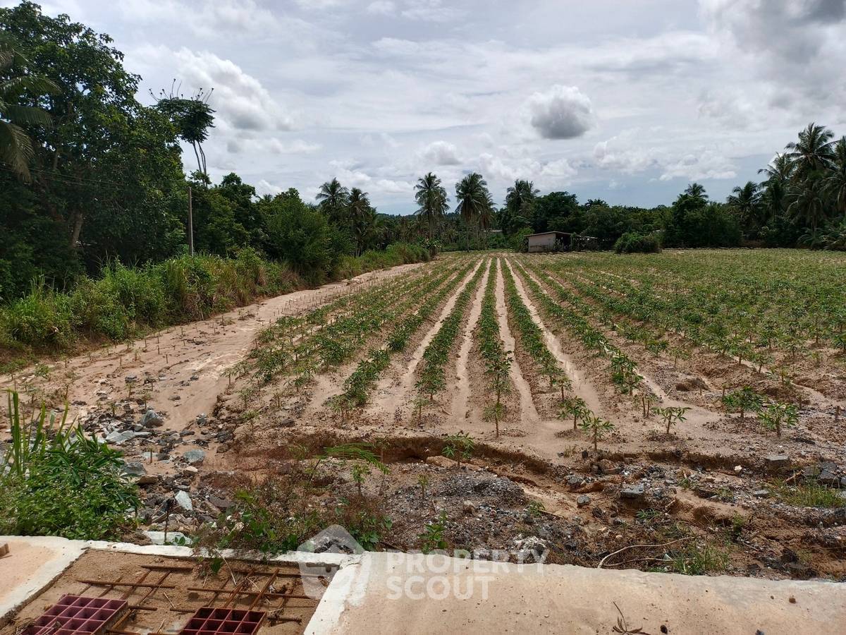 รูป ที่ดินสำหรับปล่อยขาย 29,972 ตารางเมตร แถว ใกล้ แหลมฉบัง (ID 1331695) - รูปที่ 8/9
