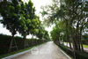 listing thumbnail image 25