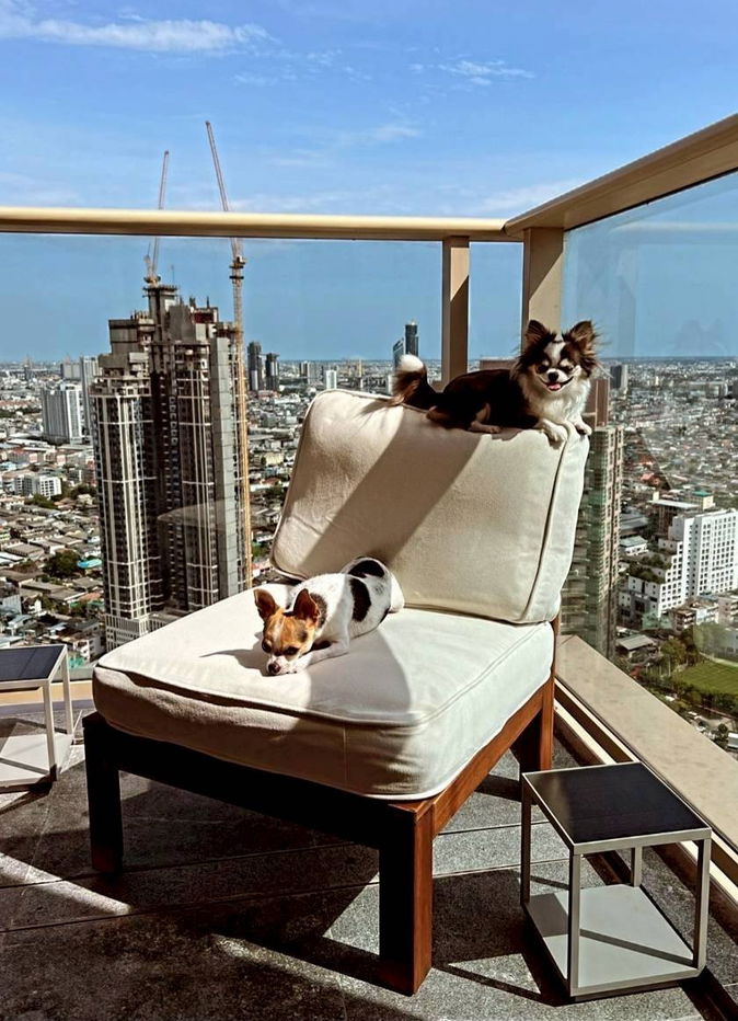 picture ❖ Super Luxury ❖ 30+ floor 117.00 sq.m. | 2 bedrooms 2 bathrooms | Near BTS Saphan Taksin 6 minutes, Asiatique The Riverfront 5 minutes - 7/11