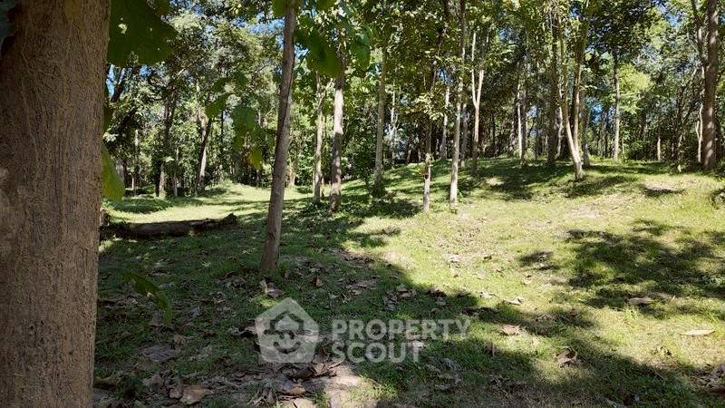 picture 16,904 m² Land for Sale in Rim Tai (ID 2091426) - 8/13