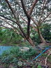 listing thumbnail image 20