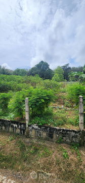 3,576 m² Land for Sale in Thep Krasattri (ID 1978138)
