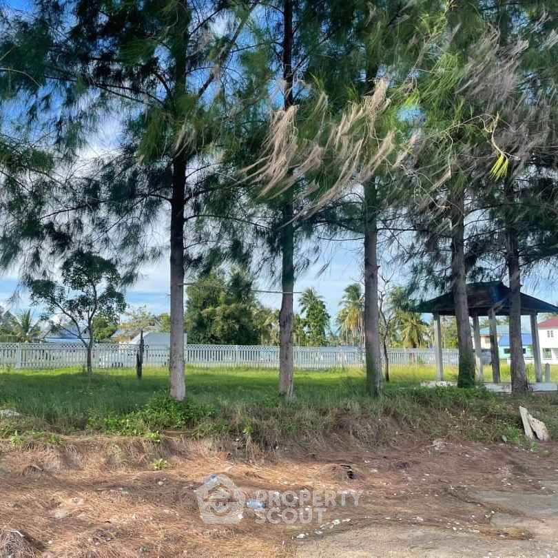 picture 360 m² Land for Sale in Kui Nuea (ID 1138521) - 5/5
