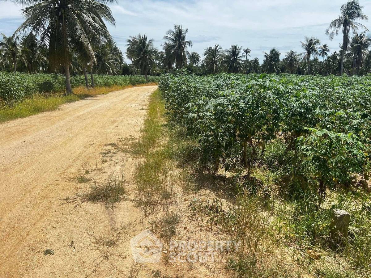 picture 12,268 m² Land for Sale close to Huai Yai (ID 2178269) - 2/5