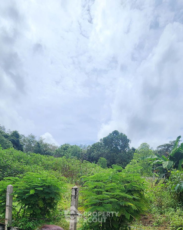 รูป ที่ดินสำหรับปล่อยขาย 3,576 ตารางเมตร แถว ใน เทพกระษัตรี (ID 1978138) - รูปที่ 3/5