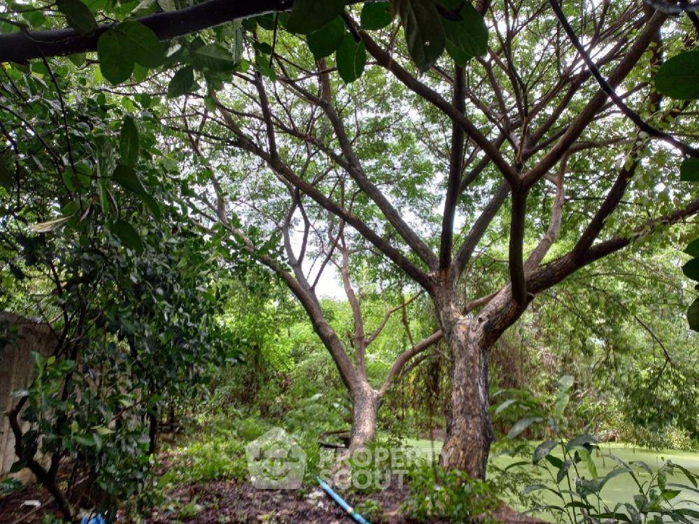 รูป ที่ดินสำหรับปล่อยเช่าและปล่อยขาย 5,600 ตารางเมตร แถว ใน ออเงิน (ID 1337201) - รูปที่ 6/32