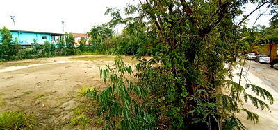 Land for sale Muang Pathum Thani Pathumthani : Land for sale Pathumthani 4 Rai