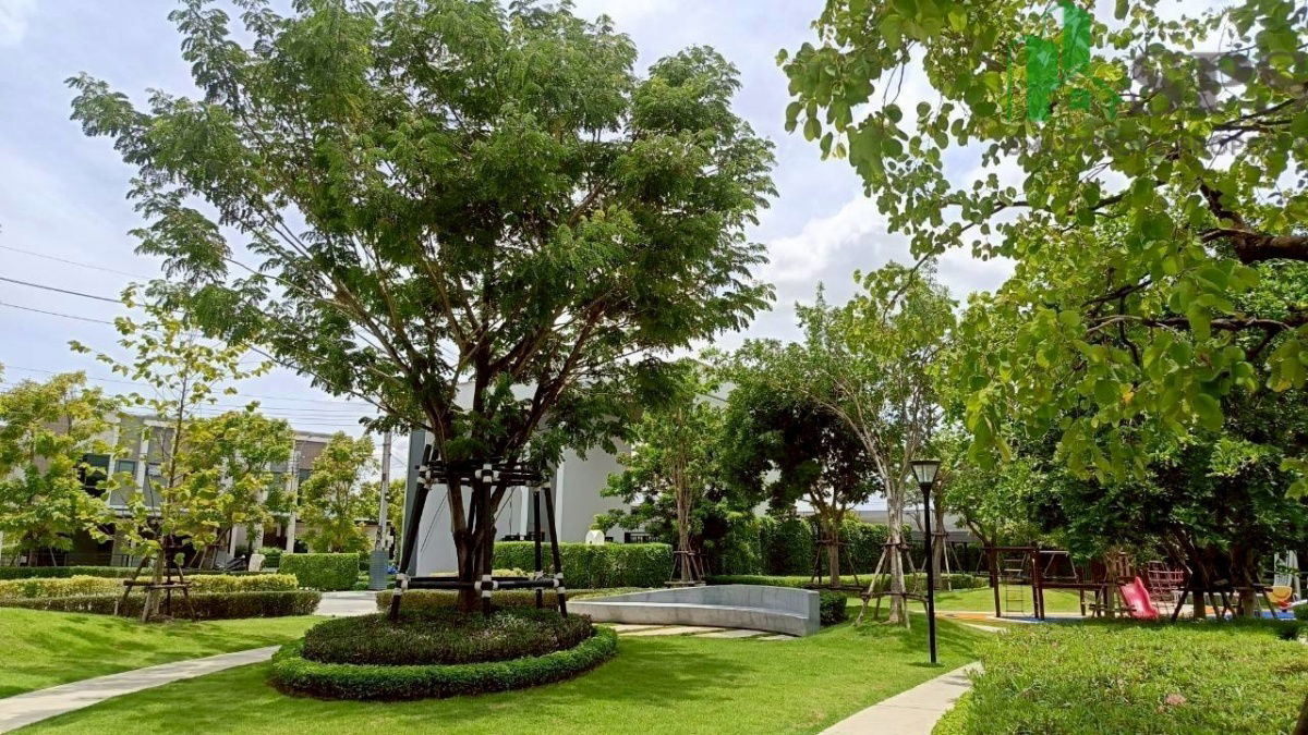 picture For Rent Brand New Townhome at Pleno Sukhumvit-Bangna 3, Next to Mega Bangna (SPSJN113) - 14/15