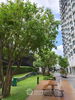 listing thumbnail image 31