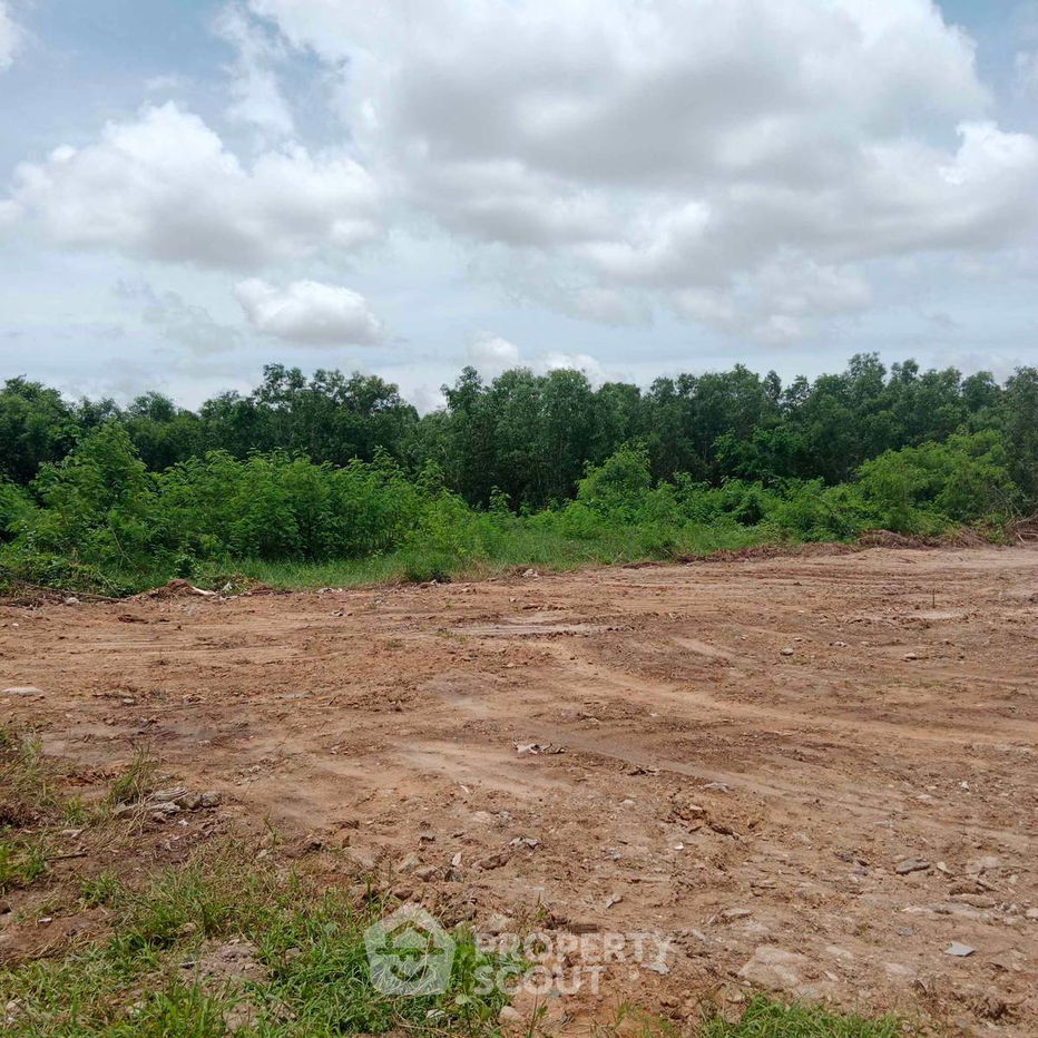 picture 800 m² Land for Sale close to Pattaya (ID 1537972) - 6/8