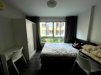 Condos for rent : Dcondo Campus Resort Phase 1, Ready to move in