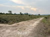 listing thumbnail image 13