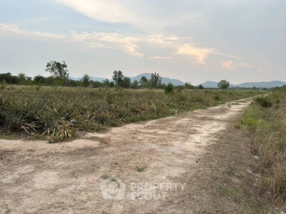 picture 43,064 m² Land for Sale close to Phetchaburi Railway Station (ID 1960381) - 14/23