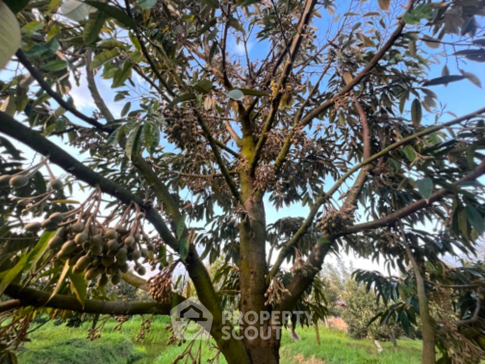 picture 322,876 m² Land for Sale in Nam Phrae (ID 1110720) - 13/28