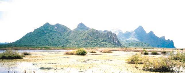 picture Large plot of land for sale, area 732 rai, Sam Roi Yot District, NS3K (can be changed to NS4J) - 1/2