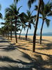 listing thumbnail image 20