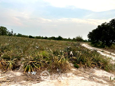 Land for sale Petchburi : 43,064 m² Land for Sale close to Phetchaburi Railway Station (ID 1960381)