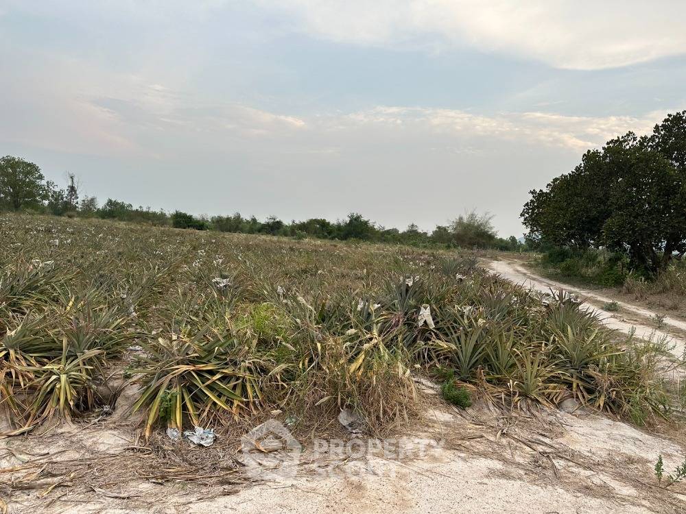 picture 43,064 m² Land for Sale close to Phetchaburi Railway Station (ID 1960381) - 1/23