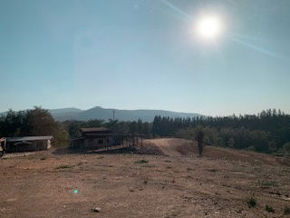 picture land for sale in khaoyai good ozone for life - 3/6