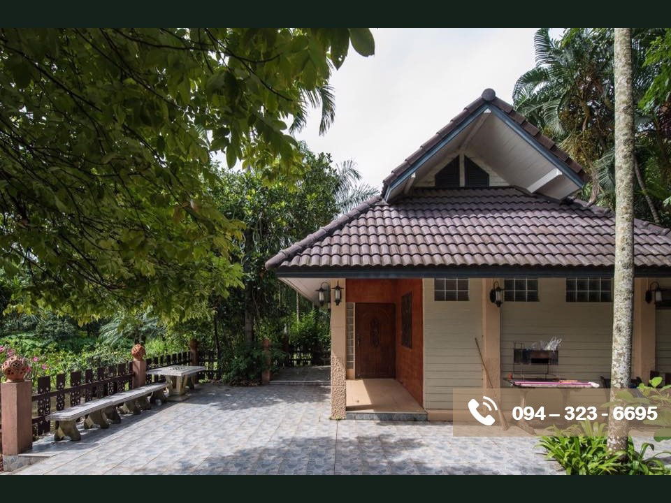 รูป บ้านสวนพร้อมที่ดิน 11 ไร่ ในเชียงราย ปี 67  น้ำไม่ท่วม - รูปที่ 5/11