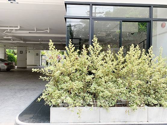 picture 2-BR Condo at Residence Sukhumvit 65 near BTS Ekkamai (ID 20094) - 12/24