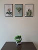 listing thumbnail image 10
