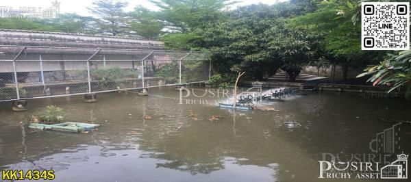 รูป ขายที่ดิน 7 ไร่ พร้อมพื้นที่ใช้สอย ลานคอนกรีตเต็มพื้นที่ มีโรงงาน โกดัง สำนักงาน อุปกรณ์และใบ รง.4 ครบถ้วน แถมติดถนน 2 ด้านในราคาที่เปล่า - KK1434S - รูปที่ 5/7