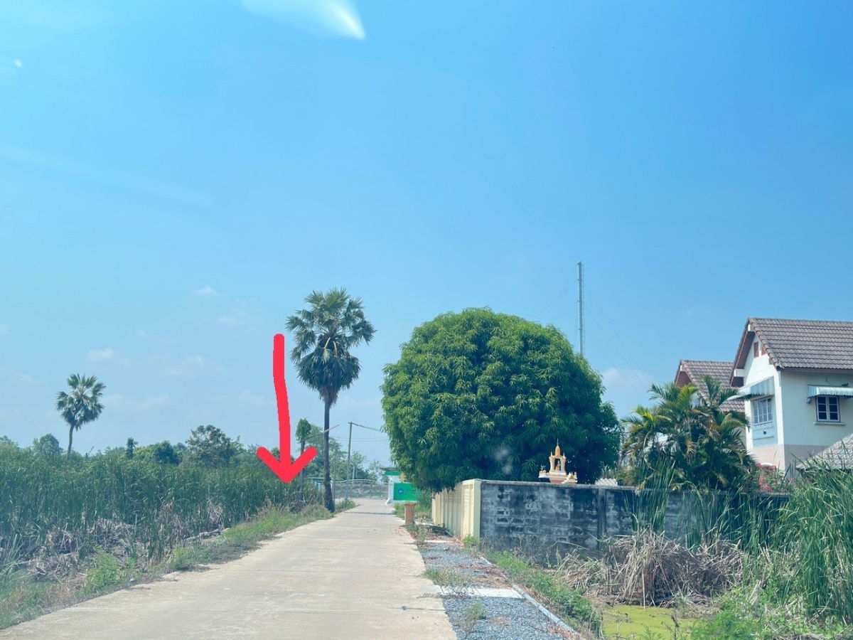 รูป ขายที่ดิน 120 ตร.ว. อ.นครชัยศรี จ.นครปฐม ราคาถูกกว่าราคาตลาด - รูปที่ 4/7