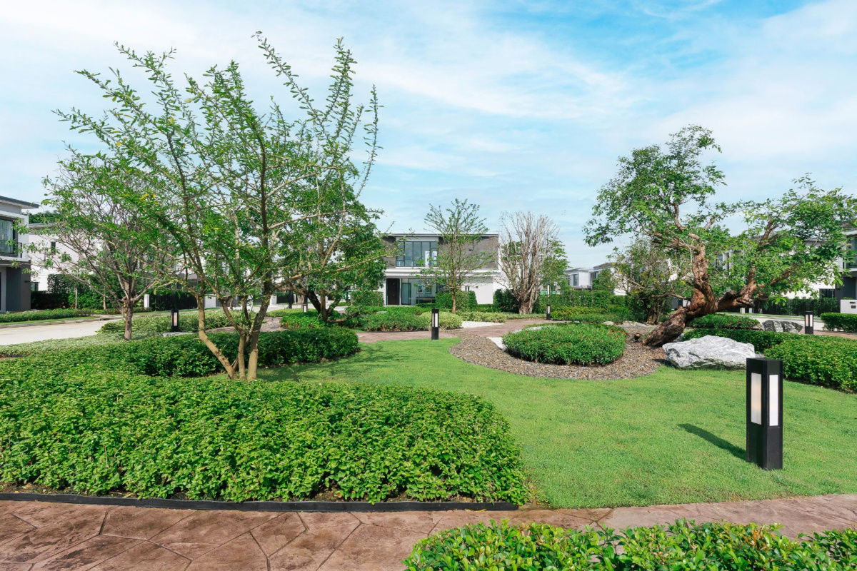 picture Special price only now 5.49 million baht.* - 9/11