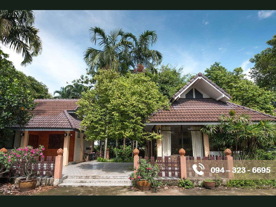 รูป บ้านสวนพร้อมที่ดิน 11 ไร่ ในเชียงราย ปี 67  น้ำไม่ท่วม - รูปที่ 6/11