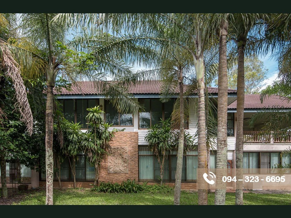 รูป บ้านสวนพร้อมที่ดิน 11 ไร่ ในเชียงราย ปี 67  น้ำไม่ท่วม - รูปที่ 7/11