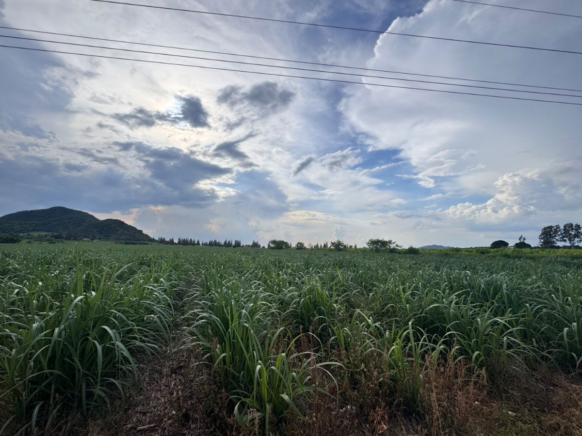 picture Invest in Khao Yai and get 100% profit. (Land appraisal prices are guaranteed to increase every year) - 2/8