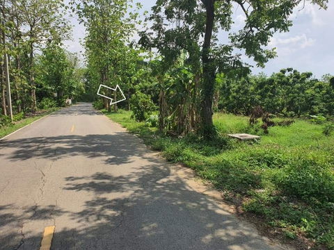 🌳ให้เช่าที่ดินเปล่าเชียงใหม่ เนื้อที่ 62 ตร.วา (พื้นที่ใช้สอย ~100 ตรว.)