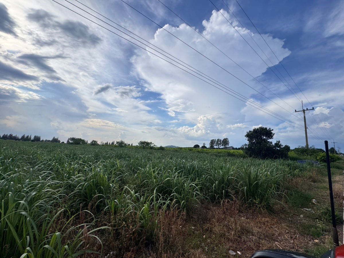 picture Invest in Khao Yai and get 100% profit. (Land appraisal prices are guaranteed to increase every year) - 3/8