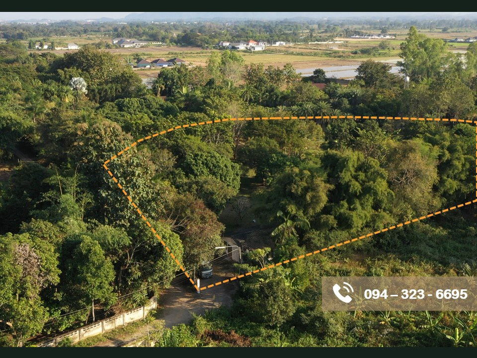รูป บ้านสวนพร้อมที่ดิน 11 ไร่ ในเชียงราย ปี 67  น้ำไม่ท่วม - รูปที่ 2/11