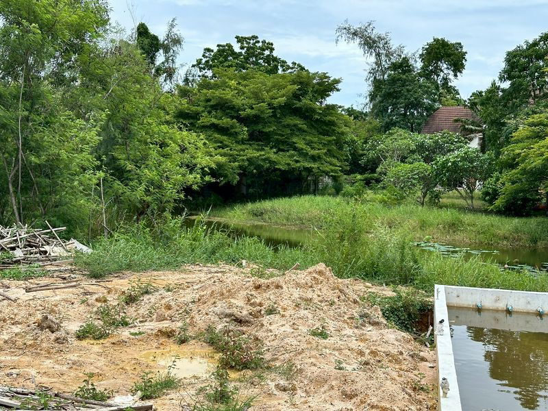 รูป บ้านเดี่ยวสุดหรู ทำเลสุดพรีเมี่ยม หมู่บ้านปัญญารีสอร์ท บางพระ ศรีราชา ชลบุรี - รูปที่ 11/20