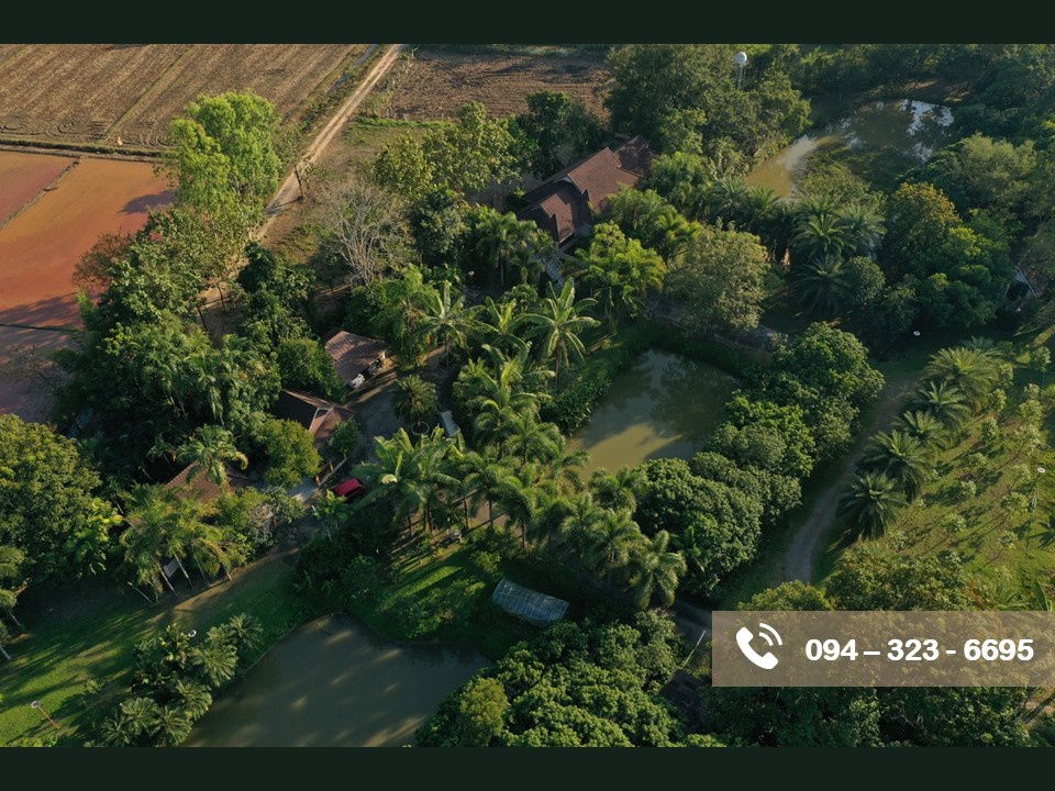 รูป บ้านสวนพร้อมที่ดิน 11 ไร่ ในเชียงราย ปี 67  น้ำไม่ท่วม - รูปที่ 4/11