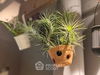 listing thumbnail image 11